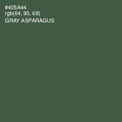 #405A44 - Gray Asparagus Color Image